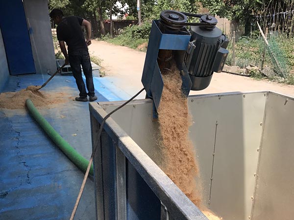 星期天大家干什么了，玉米軟管輸送機(jī) 絞龍吸糧食機(jī)